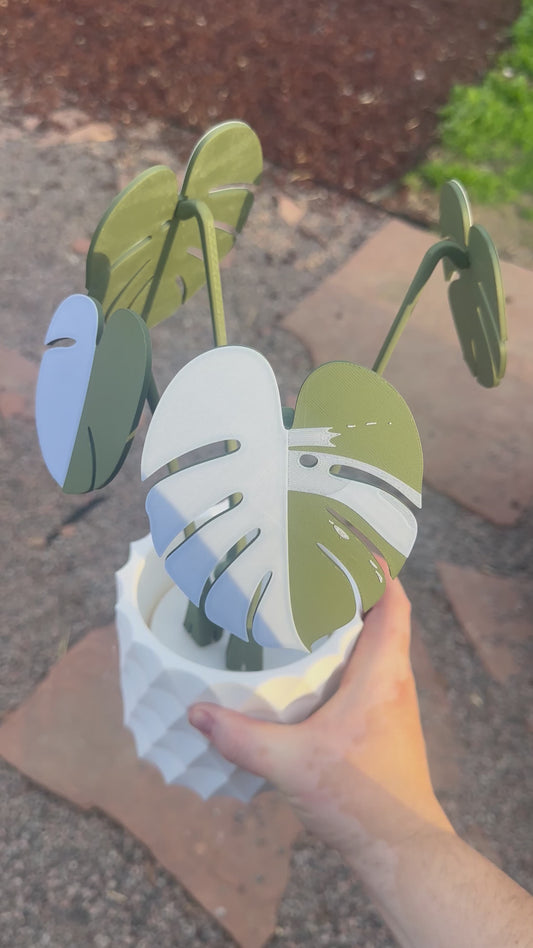 3D printed Monstera Coasters!